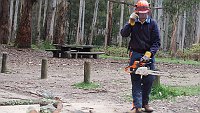 02-Michael fires up the chainsaw to cut some firewood